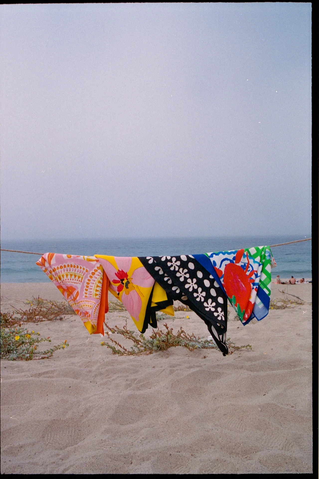 THE BIG SCARF - Brush Stroke